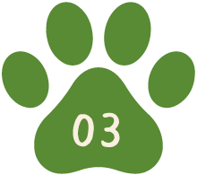 POINT03